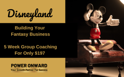 Disneyland Coaching Group